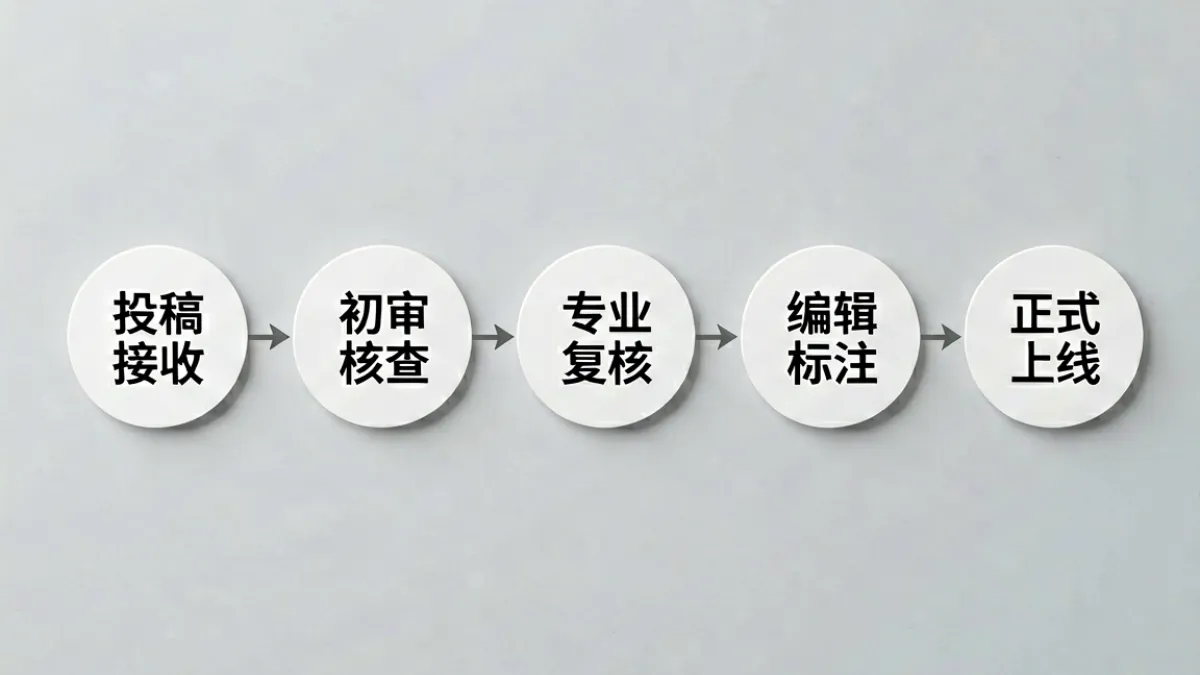 暗暗射内容审核流程示意图，展示从投稿到上线的五个核查节点